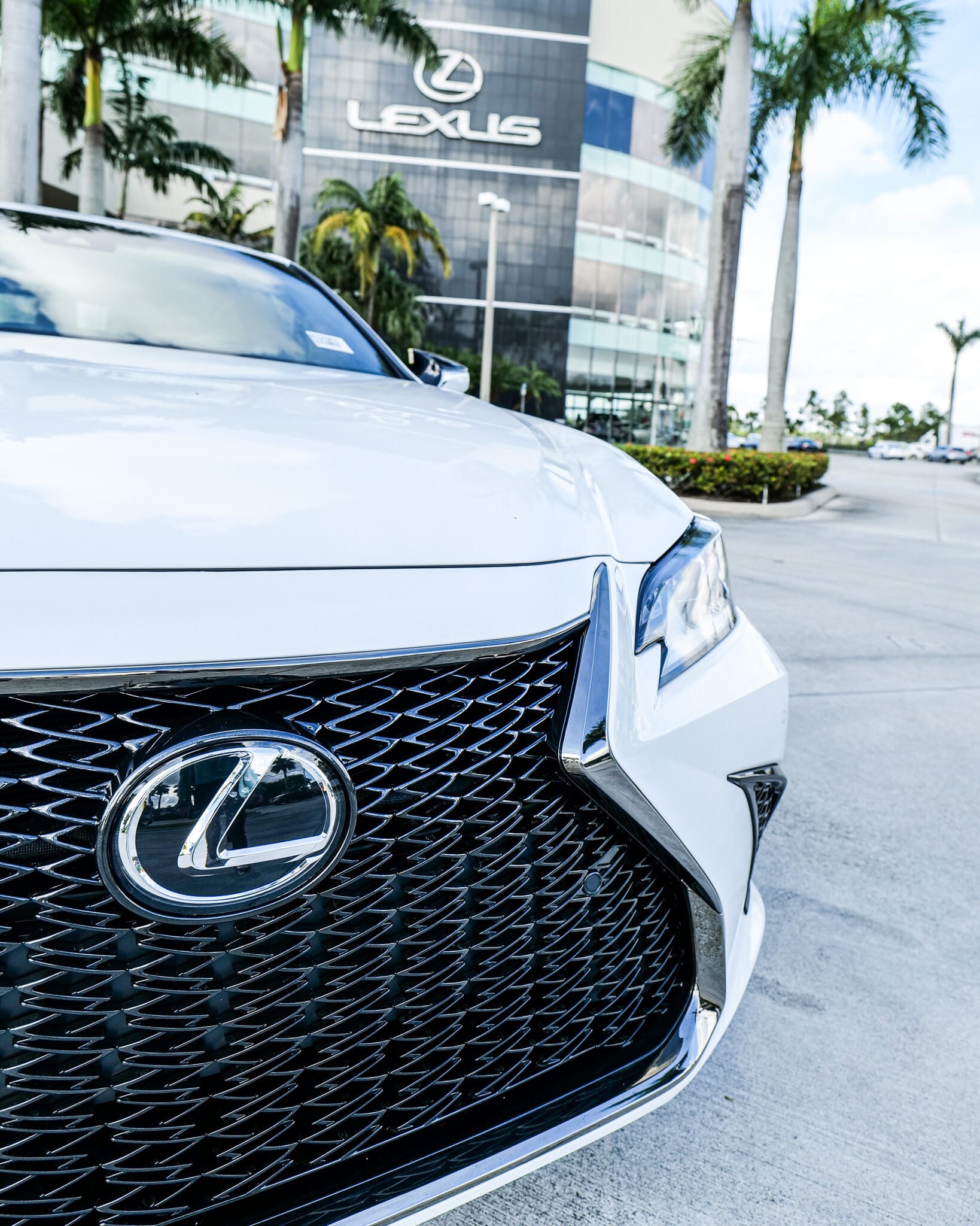 Gear Up for Speed: Everything You Need to Know About the 2025 Lexus Corporate Run in Miami!